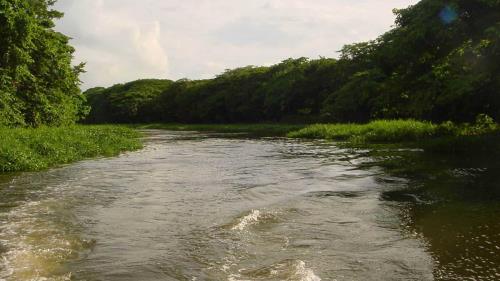 Encuentran hombre muerto en río Higuamo en SPM Diario Libre