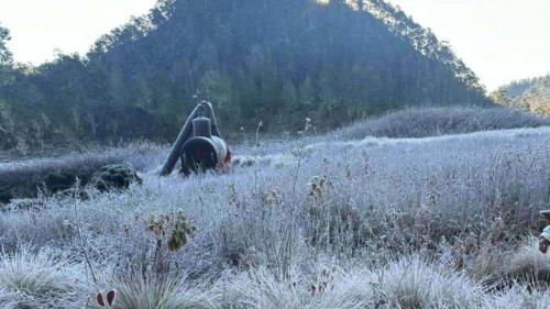 Clima En RD Valle Nuevo Con Temperatura De 1 C Diario Libre