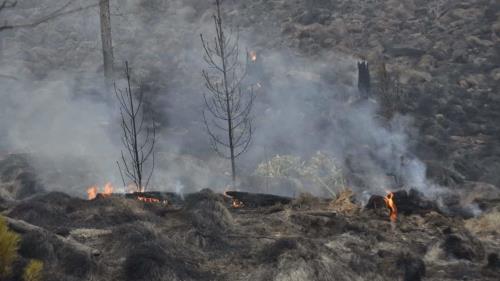 Cu Les Fueron Las Provincias Que Registraron M S Incendios En