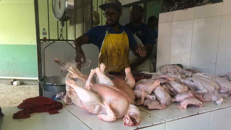 Habrá mucho pollo en Navidad, dicen vendedores de El Seibo