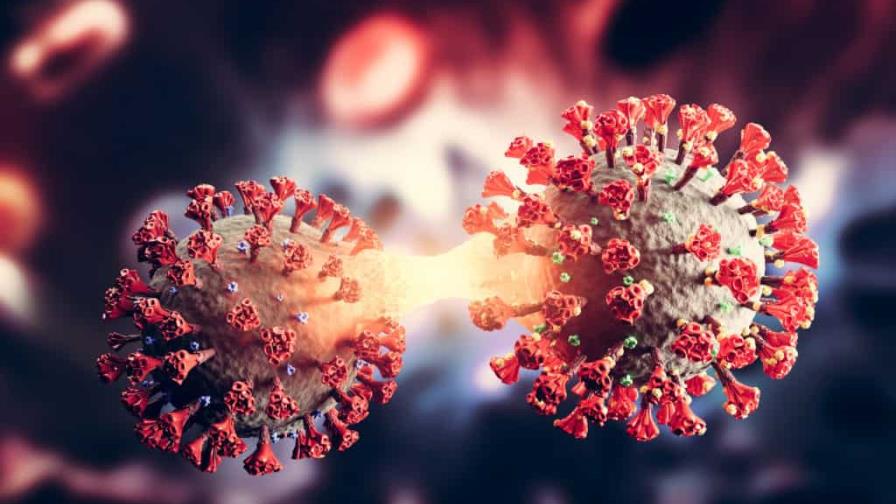 Por qué se propaga tan rápido la variante ómicron del COVID-19 Por qué se propaga tan rápido la variante ómicron del COVID-19