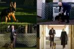 Joe Biden presenta a Commander, su nueva mascota