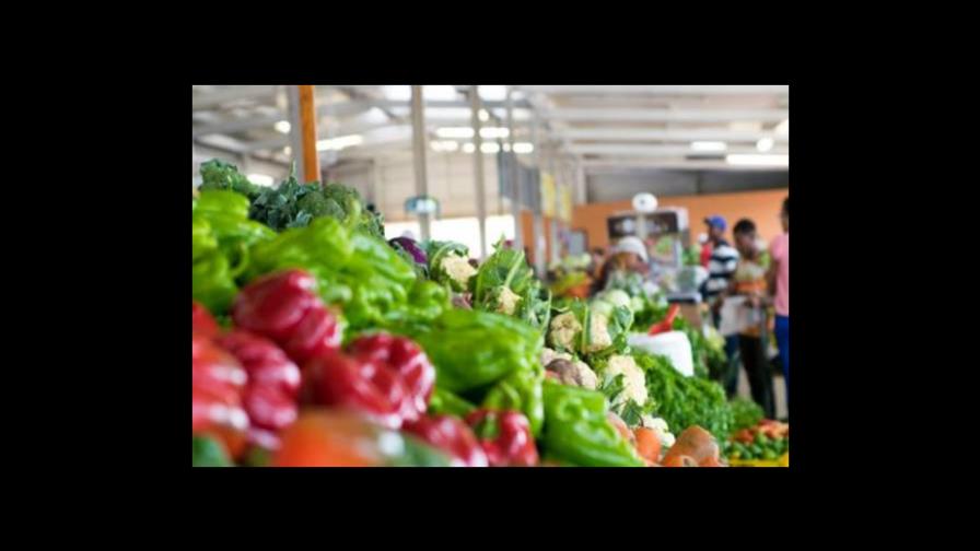 En noviembre, productos agropecuarios estuvieron más baratos en supermercados