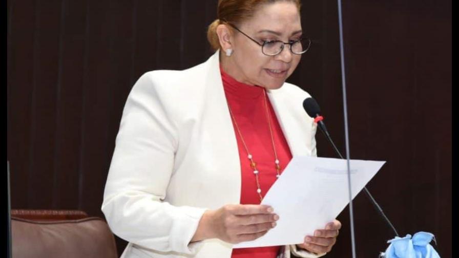Diputados del PRM rechazan se acuse al Gobierno de injerencia en el Ministerio Público Diputados del PRM rechazan se acuse al Gobierno de injerencia en el Ministerio Público