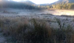 Hoy comenzó el invierno en el hemisferio norte