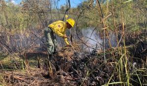 Actualización: incendio que afectó manglares en Punta Cana está controlado