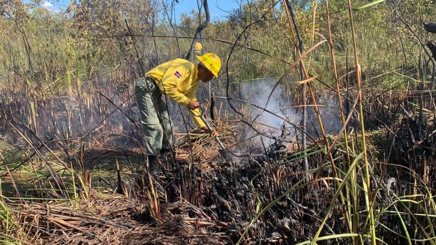 Actualización: incendio que afectó manglares en Punta Cana está controlado