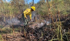 Fuego afect&oacute; unas 4,100 tareas en las inmediaciones de playa Juanillo en Cap Cana