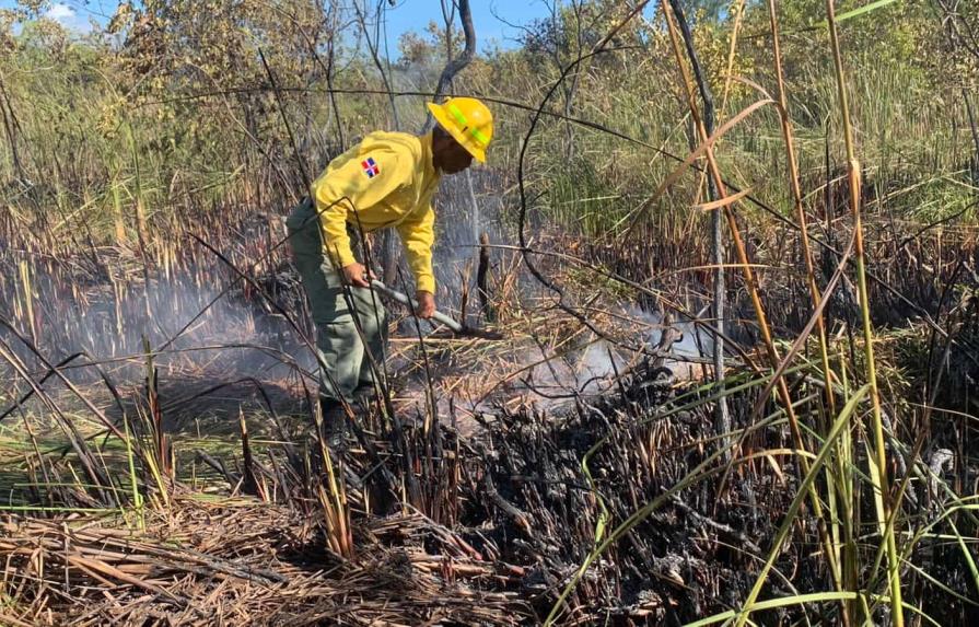 Fuego afectó unas 4,100 tareas en las inmediaciones de playa Juanillo en Cap Cana