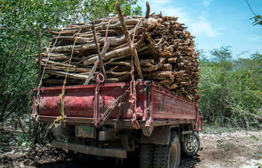 Medio Ambiente suspende temporalmente permisos de transporte de madera y productos mineros