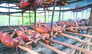 La producción de cerdo será hasta 8 % más alta este año, pero aún se tendrá que importar