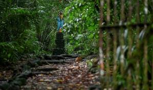 Isla Gorgona, curiosidades de un tesoro natural que emergi&oacute; del terror en Colombia