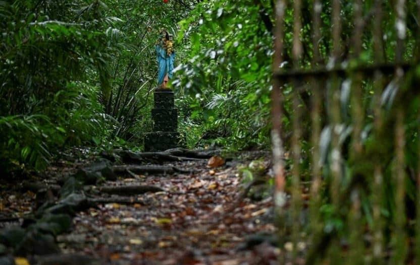 Isla Gorgona, curiosidades de un tesoro natural que emergió del terror en Colombia