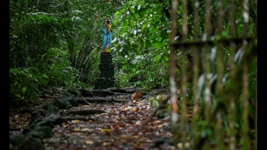 Isla Gorgona, curiosidades de un tesoro natural que emergió del terror en Colombia