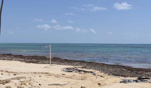 Barrera para detener el sargazo no estaría lista para 2022