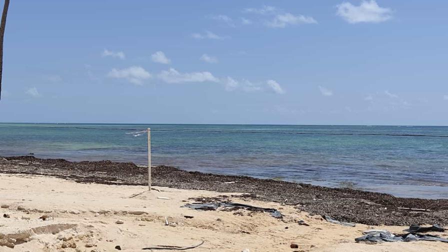 Barrera para detener el sargazo no estaría lista para 2022