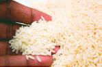 Agricultura asegura que el consumo de arroz está garantizado en la RD