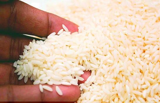 Agricultura asegura que el consumo de arroz está garantizado en la RD