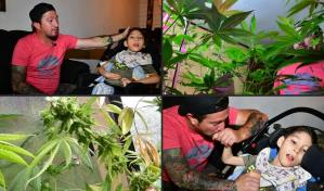 Cannabis medicinal, una polémica alternativa que aguarda la legalización en Costa Rica