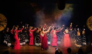 Dominicana Vive el Flamenco y el Grupo Calor Flamenco presentaron Recital Arsa y Toma