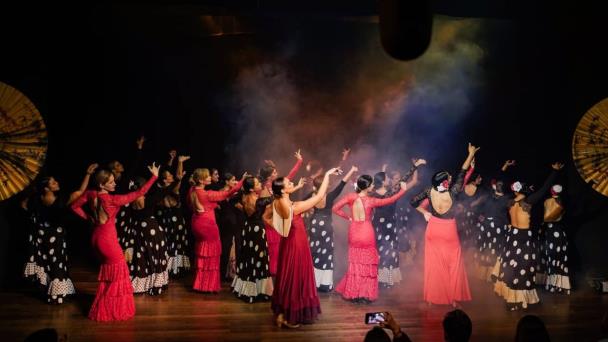 Dominicana Vive el Flamenco y el Grupo Calor Flamenco presentaron Recital Arsa y Toma
