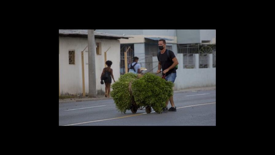 Santeros cubanos prevén enfermedades y complots en 2022