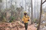 Alrededor de 15 kilómetros resultaron afectados en Sierra de Bahoruco tras incendios