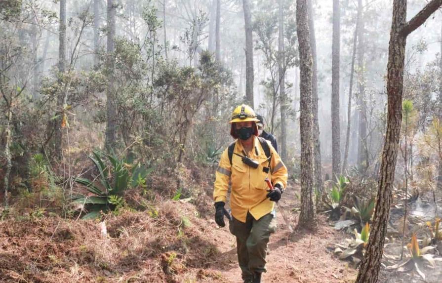 Alrededor de 15 kilómetros resultaron afectados en Sierra de Bahoruco tras incendios
