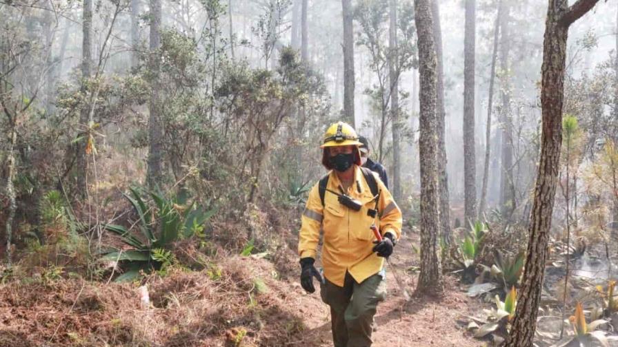 Alrededor de 15 kilómetros resultaron afectados en Sierra de Bahoruco tras incendios