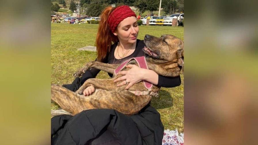 Cocodrilo devora mascota de la actriz Ariadne Díaz Cocodrilo devora mascota de la actriz Ariadne Díaz