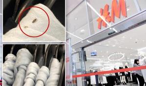 Empleada de H&M en Nueva York afirma tienda tiene un brote piojos y publica las fotos