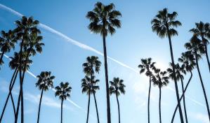 ¿Cuál es el origen de las estaciones?