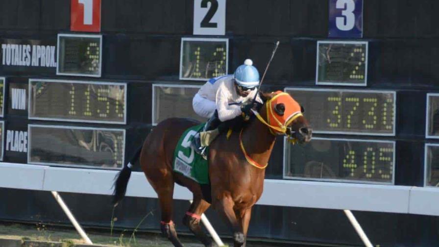 Maremoto P favorita del martes en el V Centenario