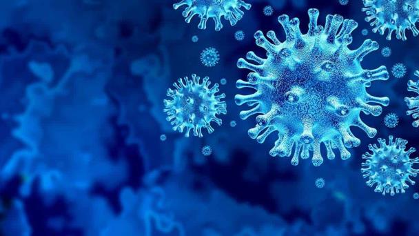 Los virus causantes de brote de infecciones respiratorias en China son conocidos, según la OMS