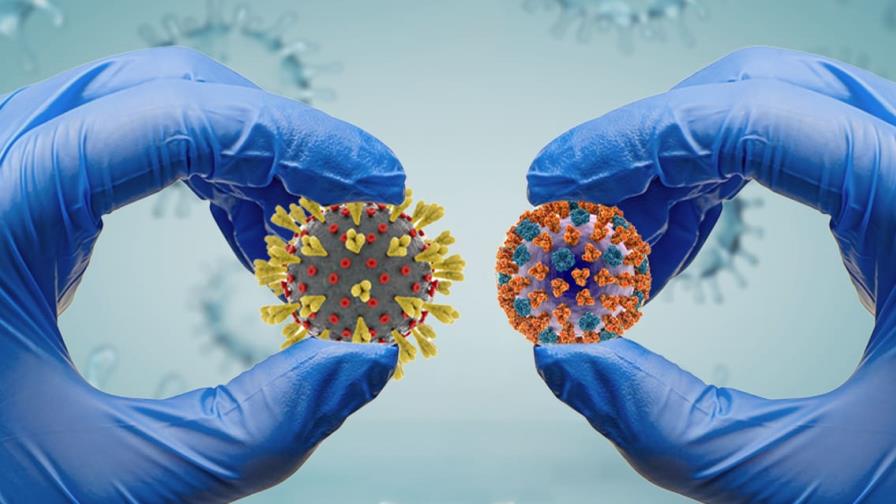 Brasil confirma 115 casos de flurona desde que la pandemia llegó al país