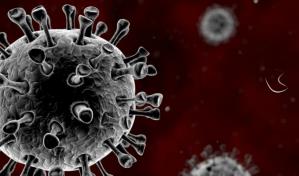 Así funcionan las vacunas de ARN mensajero