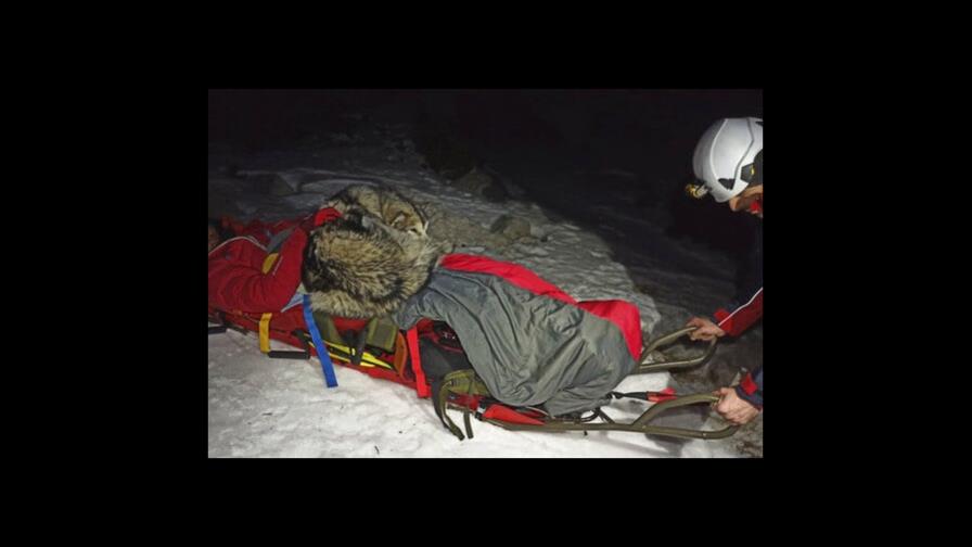 Perro evita que dueño se congele tras lesionarse en Croacia