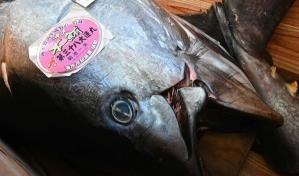 Venden un atún por 145.000 dólares en tradicional subasta de Año Nuevo