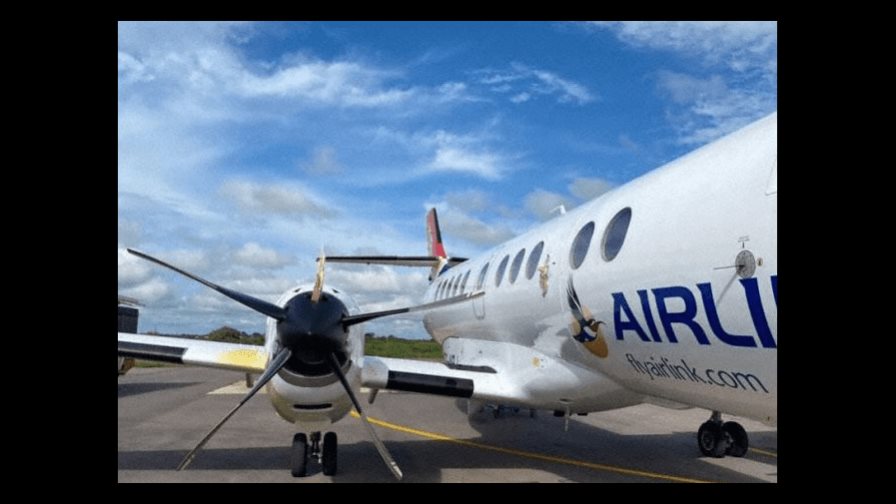 Ave de gran tamaño choca contra un avión en pleno aterrizaje