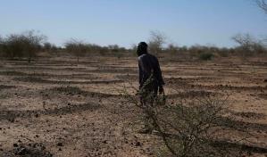 Más del 90 % de los países tendrán un año muy caluroso de cada dos, según estudio