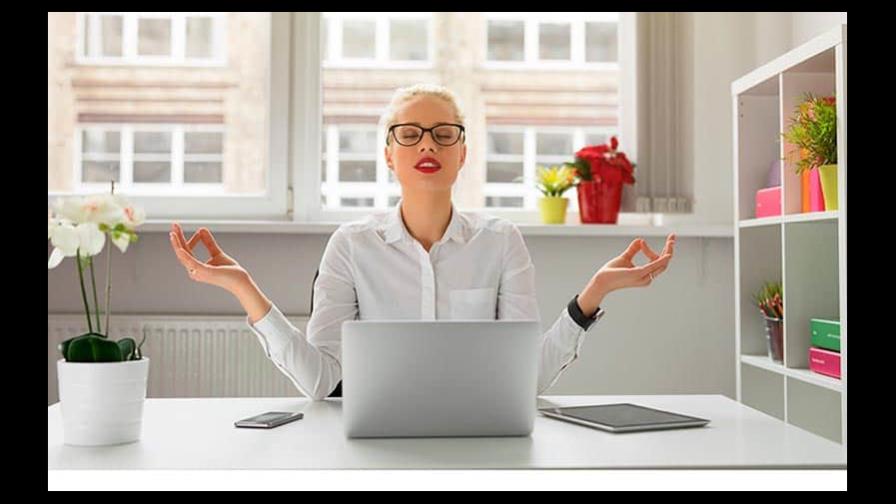 Harvard te enseña a combatir el estrés