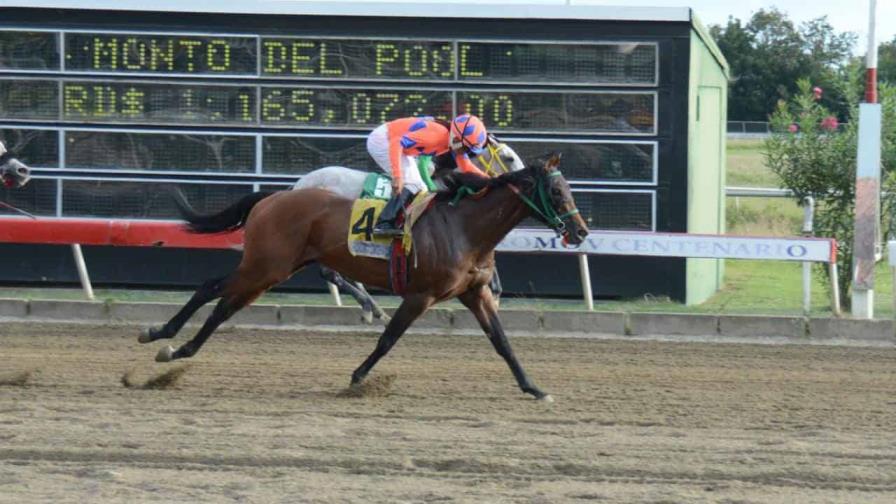Poolpote en 3.3 millones para carreras del sábado en el V Centenario