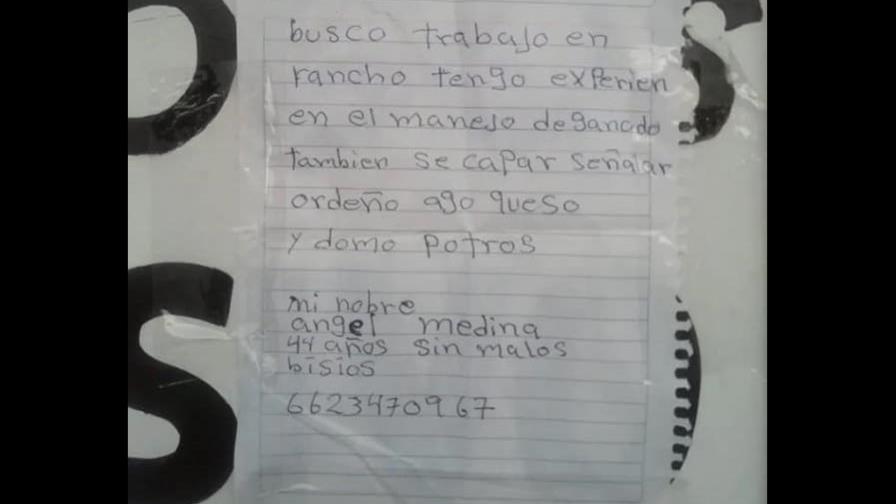 Escribió su CV a mano, su historia se hizo viral y consiguió más de 30 ofertas