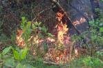 Llamas comienzan a ceder en dos de los incendios en Sierra de Bahoruco
