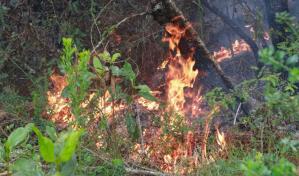 Llamas comienzan a ceder en dos de los incendios en Sierra de Bahoruco