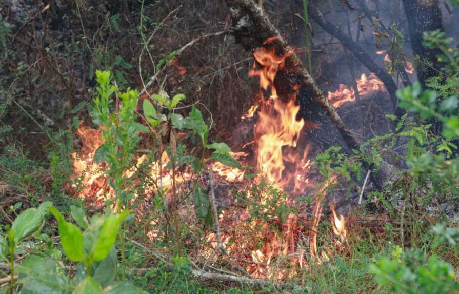 Llamas comienzan a ceder en dos de los incendios en Sierra de Bahoruco