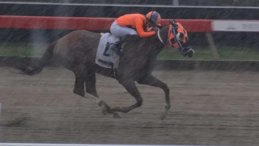 Frías gana dos y pool paga más de 6 mil en carrera hípica del V Centenario