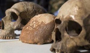 Fósiles etíopes de Homo sapiens 35,000 años más antiguos de lo que se creía