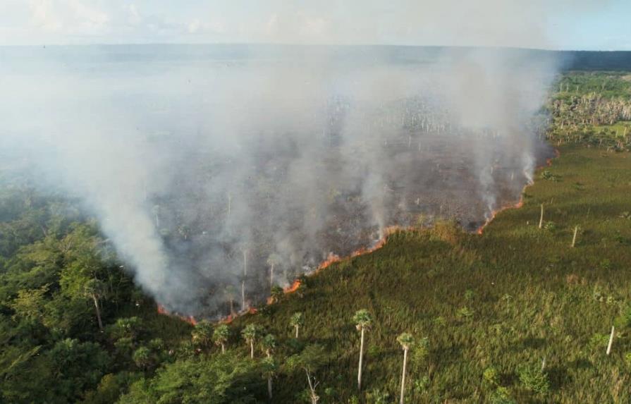 Incendio forestal afecta área protegida Hoyo Claro en Verón, Punta Cana