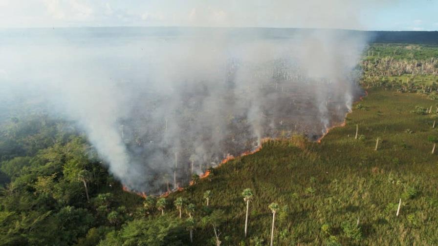 Incendio forestal afecta área protegida Hoyo Claro en Verón, Punta Cana